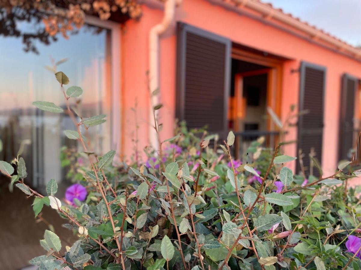 Bougainville Holiday home *