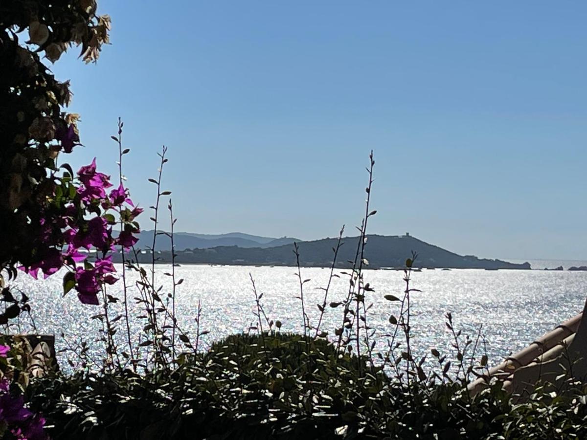 Bougainville Holiday home *
